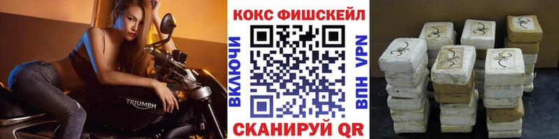 COCAIN FishScale  Купить закладки  Нижняя Тура 